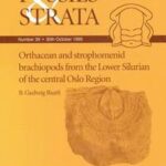 The Early Cretaceous (Late Ryazanian - Early Hauterivian) Ammonite Fauna of North-east Greenland