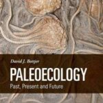 Paleoecology