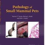 Pathology of Small Mammal Pets