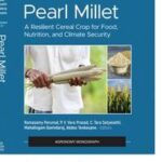 Pearl Millet