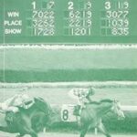 Perspectives on Gambling, Lotteries, Wagers, and Casinos