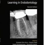 Pitt Ford's Problem-Based Learning in Endodontology