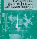 Plant Strategies, Vegetation Processes, and Ecosystem Properties