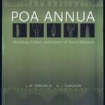 Poa Annua