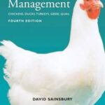Poultry Health and Management