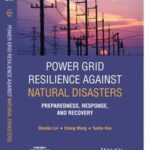 Power Grid Resilience against Natural Disasters