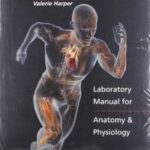 PowerPhys 3.0 Password Card