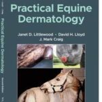Practical Equine Dermatology