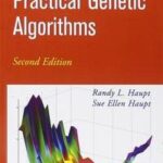 Practical Genetic Algorithms