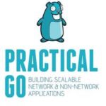 Practical Go