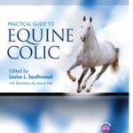 Practical Guide to Equine Colic