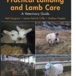 Practical Lambing and Lamb Care
