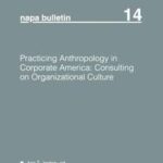 Practicing Anthropology in Corporate America