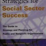 Private Sector Strategies for Social Sector Success