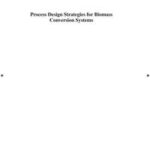 Process Design Strategies for Biomass Conversion Systems