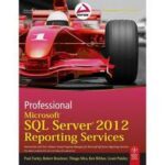 Professional Microsoft SQL Server 2012 Reporting Services