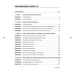 Professional Node.js