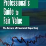 The Professional's Guide to Fair Value
