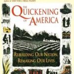 The Quickening of America