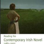 Reading the Contemporary Irish Novel 1987 - 2007