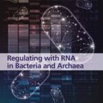 Regulating with RNA in Bacteria and Archaea