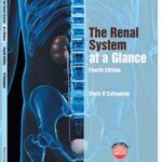 The Renal System at a Glance