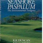 Seashore Paspalum