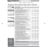 The Severe and Persistent Mental Illness Treatment Planner