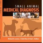 Small Animal Medical Diagnosis