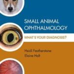 Small Animal Ophthalmology