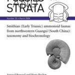 Smithian (early Triassic) Ammonoid Faunas from Northwestern Guangxi (South China)