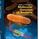Snyder and Champness Molecular Genetics of Bacteria