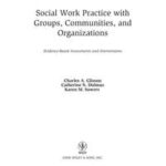 Social Work Practice with Groups, Communities, and Organizations