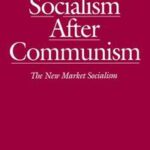 Socialism After Communism