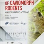 Sociobiology of Caviomorph Rodents