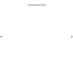 Sociolinguistic Styles