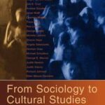 From Sociology to Cultural Studies