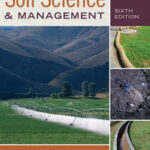 Soil Science and Management