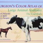 Spurgeon's Color Atlas of Large Animal Anatomy
