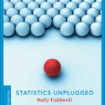 Statistics Unplugged