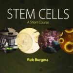 Stem Cells
