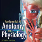Study Guide for Rizzo's Fundamentals of Anatomy and Physiology, 4th