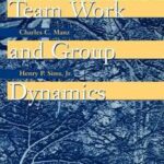 Team Work and Group Dynamics