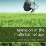 Television in the Multichannel Age