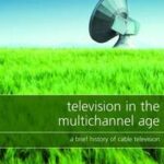 Television in the Multichannel Age