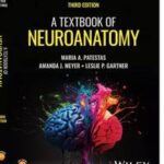 A Textbook of Neuroanatomy