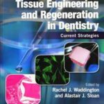 Tissue Engineering and Regeneration in Dentistry