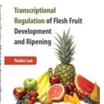 Transcriptional Regulation of Flesh Fruit Development and Ripening
