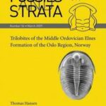 Trilobites of the Middle Ordovician Elnes Formation of the Oslo Region, Norway