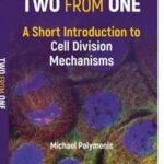 Two from One